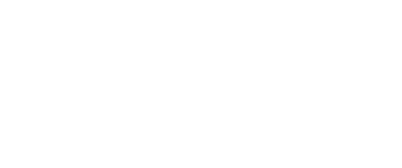 HOMELY AUSTRALIAN SHEPARD